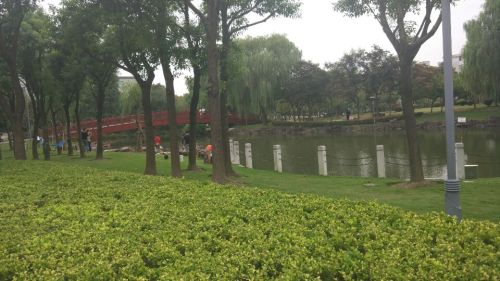 新成公园旅行图片
