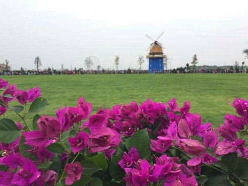 五彩大地观光休闲旅游区旅行图片
