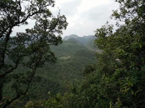 野猪岭风景区旅行图片
