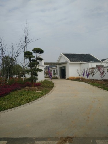 花山金港汽车主题公园旅行图片