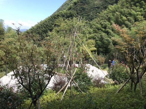 云上草原七星谷旅行图片