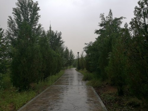 青椿山公园旅行图片