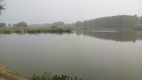 武河湿地公园旅行图片