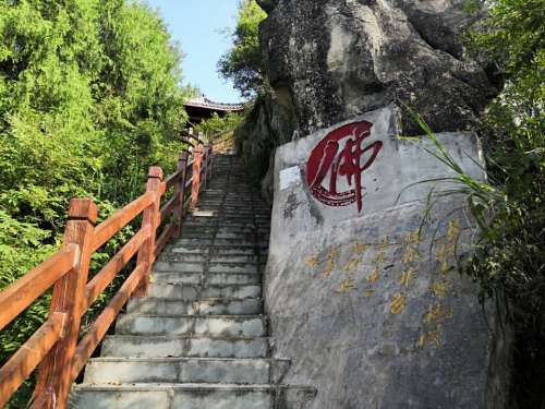 千佛山景区旅行图片