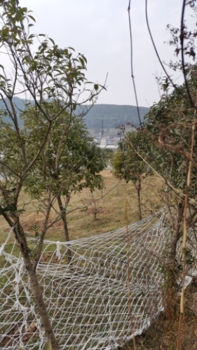 庙子山飞龙生态园旅行图片