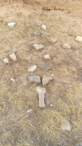 梵王寺墓群旅行图片