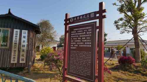 江尾农耕文化园景区旅行图片