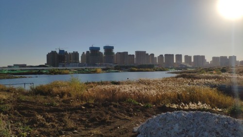 光明公园旅行图片