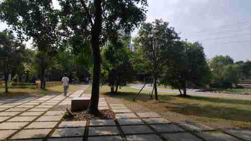 泉山文化公园旅行图片