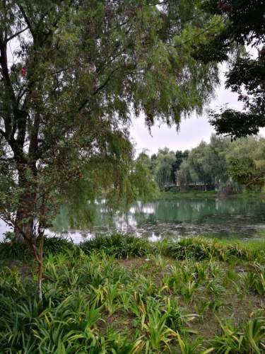 安德活水公园旅行图片