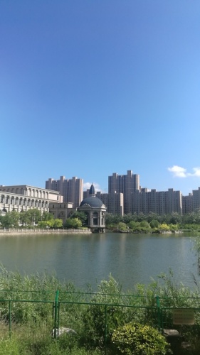 双金公园旅行图片