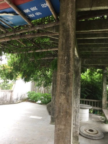 咸祥镇金山公园旅行图片