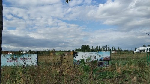 花大沈旅行图片