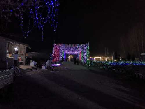 花田小镇旅行图片