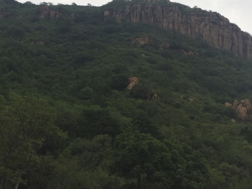 兴海公园旅行图片