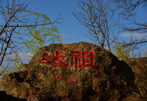 达祖码头旅行图片