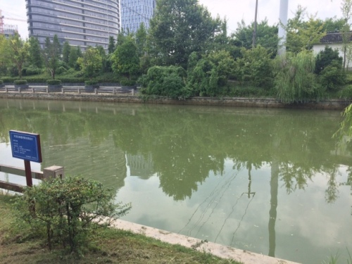 王道公园(泰美)旅行图片