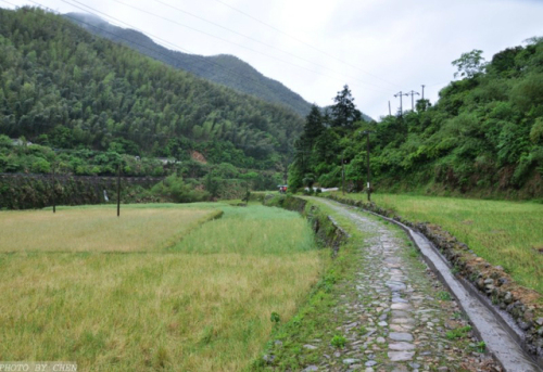仙霞古道旅行图片