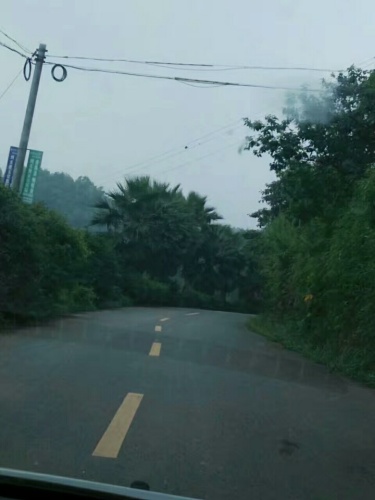 宜宾万花谷景区旅行图片
