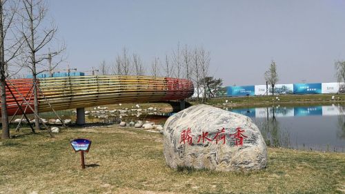 文安文礼公园旅行图片