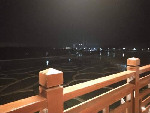 金光农场农业公园旅行图片