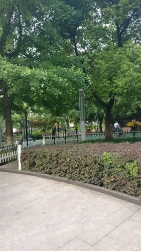 时代公园旅行图片