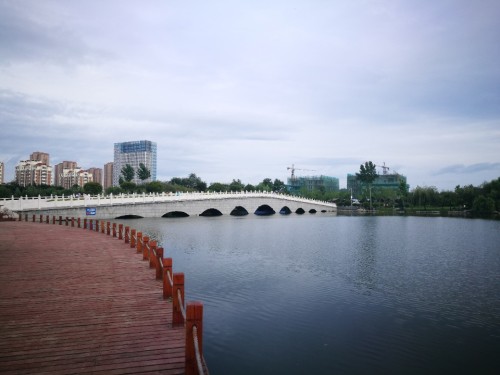 栖凤园旅行图片