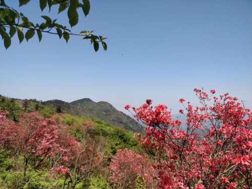 高姥山省级度假区旅行图片