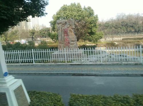 雪华风荷旅行图片
