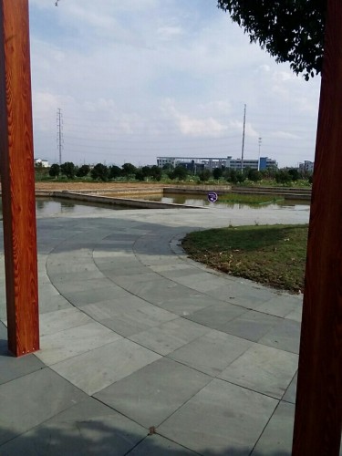 七一农业生态园旅行图片