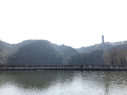 横江公园旅行图片