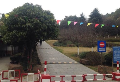 雨山公园旅行图片