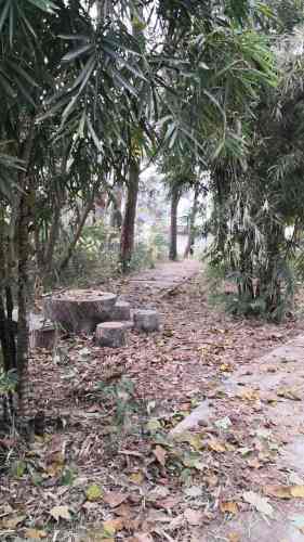 三家滩农家公园旅行图片