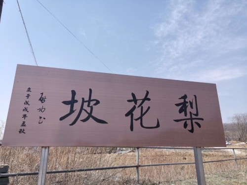 泉眼沟梨花坡旅行图片