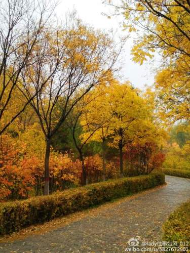 春度廉政文化公园旅行图片