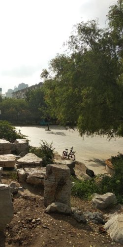 汉槐公园旅行图片