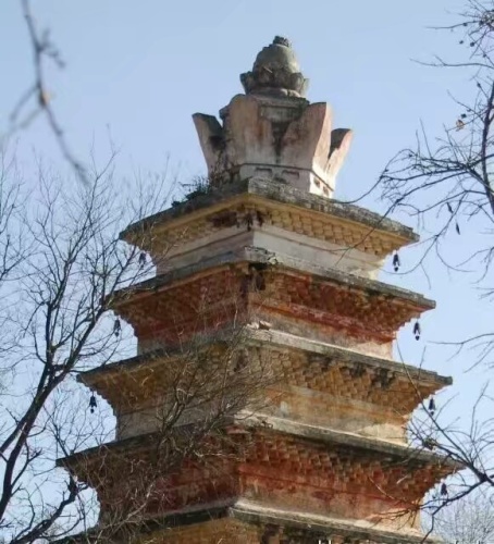 幽居寺塔旅行图片