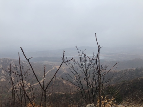 小园庙森林风景区旅行图片