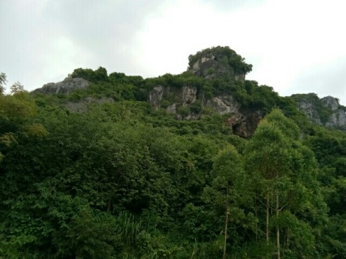 来宾第一岩旅行图片