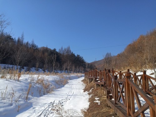 枫叶谷栈道旅行图片