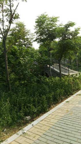 汤河公园旅行图片