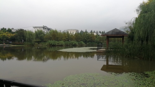 凤凰湖公园旅行图片