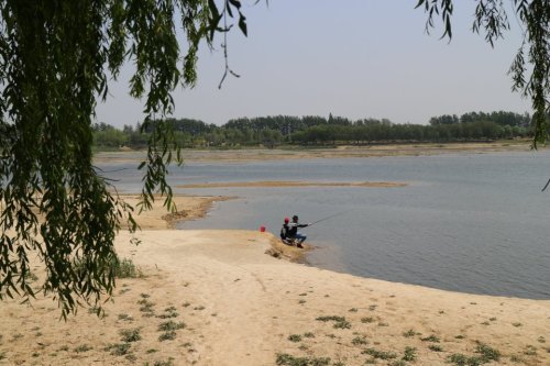 寿光滨河城市湿地公园旅行图片