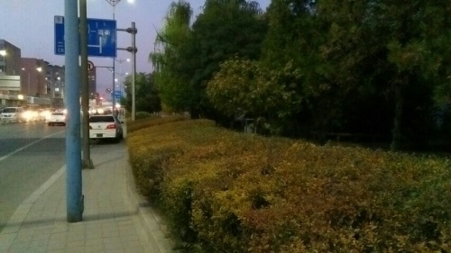 带状公园旅行图片
