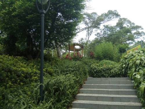 佛祖山社区公园旅行图片