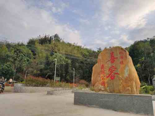 双滘镇喜容森林公园旅行图片