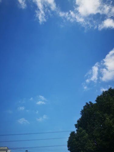茶花溪景区旅行图片