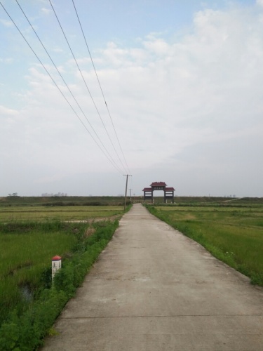 万魁塔旅行图片