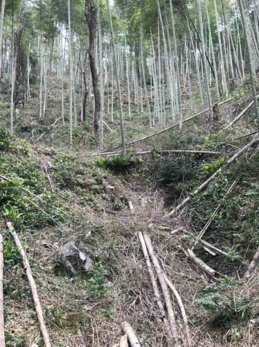 贵溪鬼谷洞旅行图片