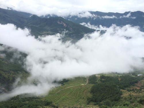 中都镇万亩油菜花田旅行图片